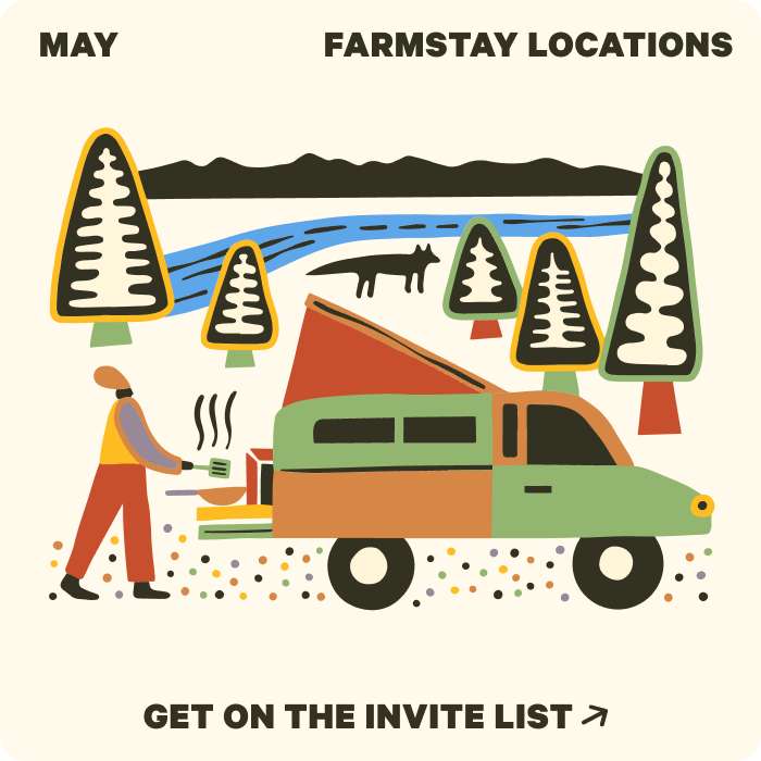 hand drawing of someone cooking out of the back of their campervan in a forest
