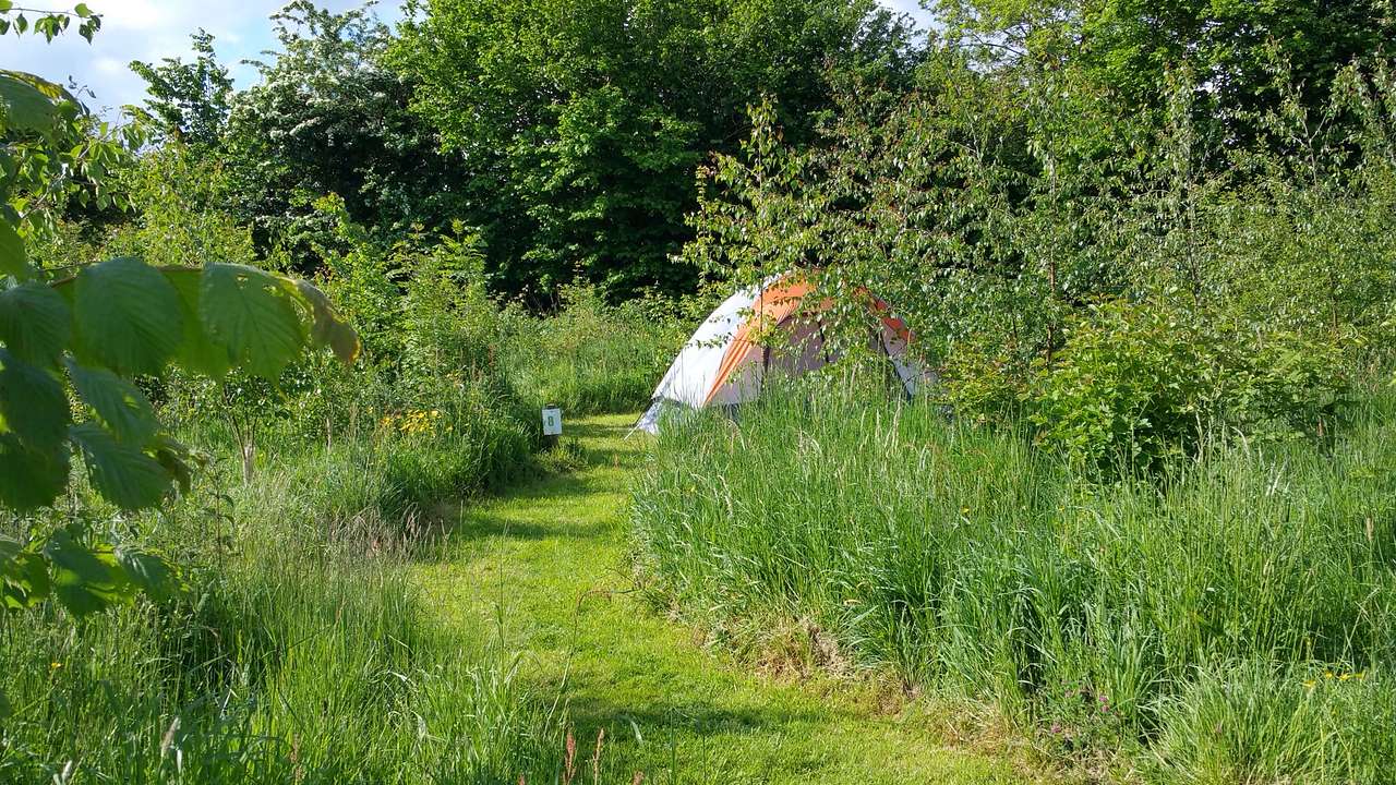 Small grass pitch for tents only