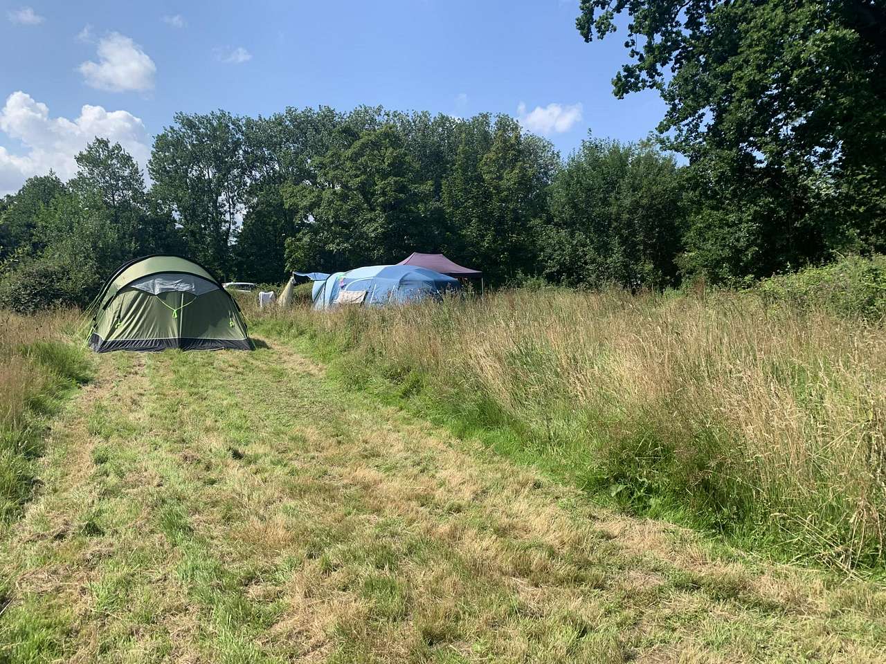 Pitch 1