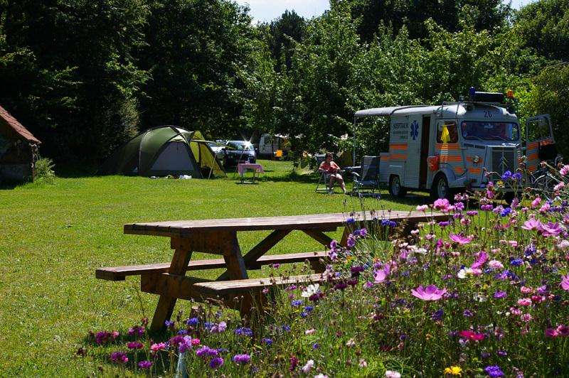 Camping Pitch