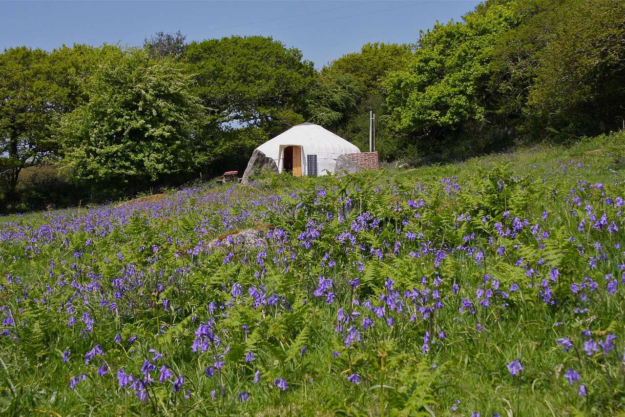 Ash Field Yurt with Yurt Pod