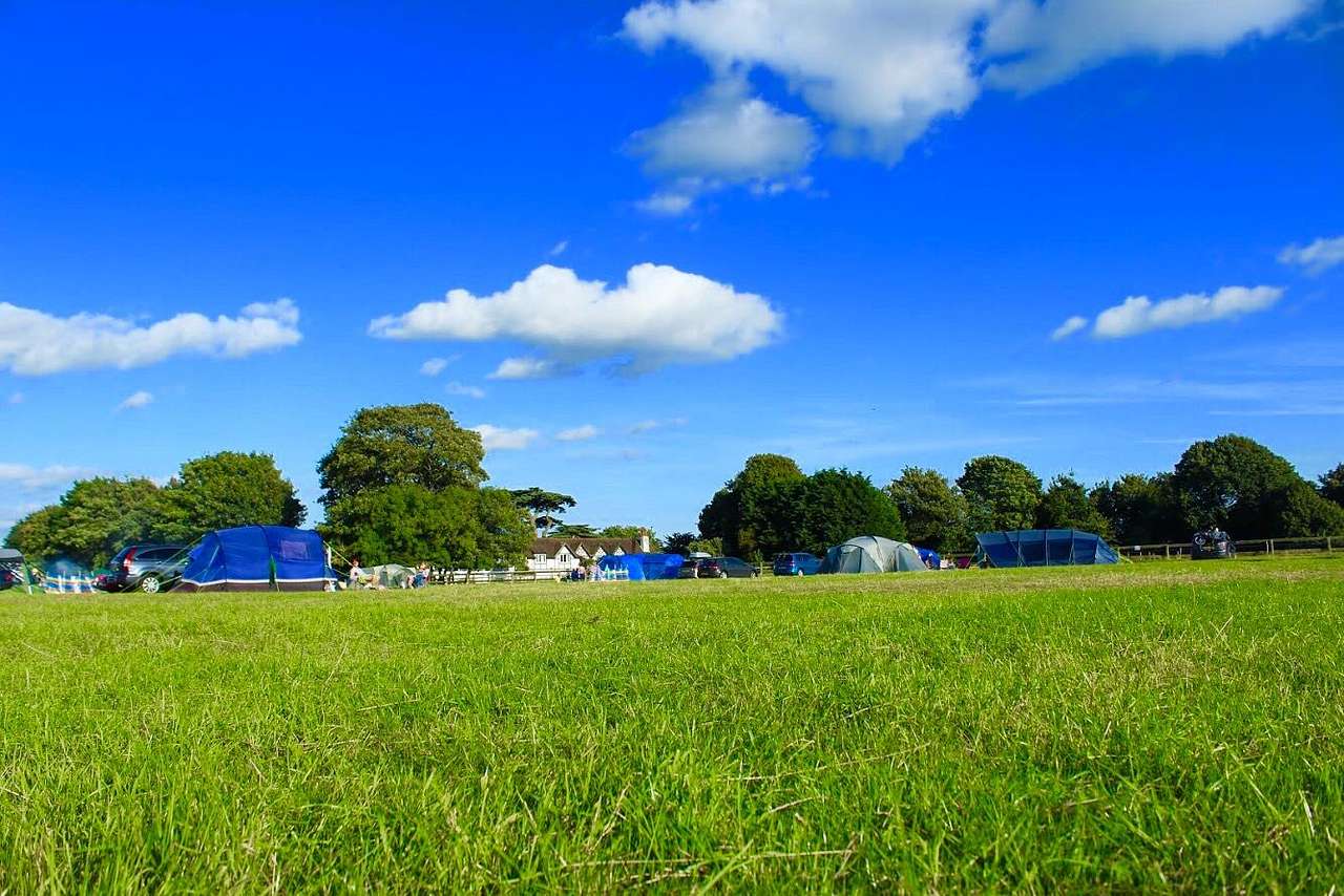 Grass pitch