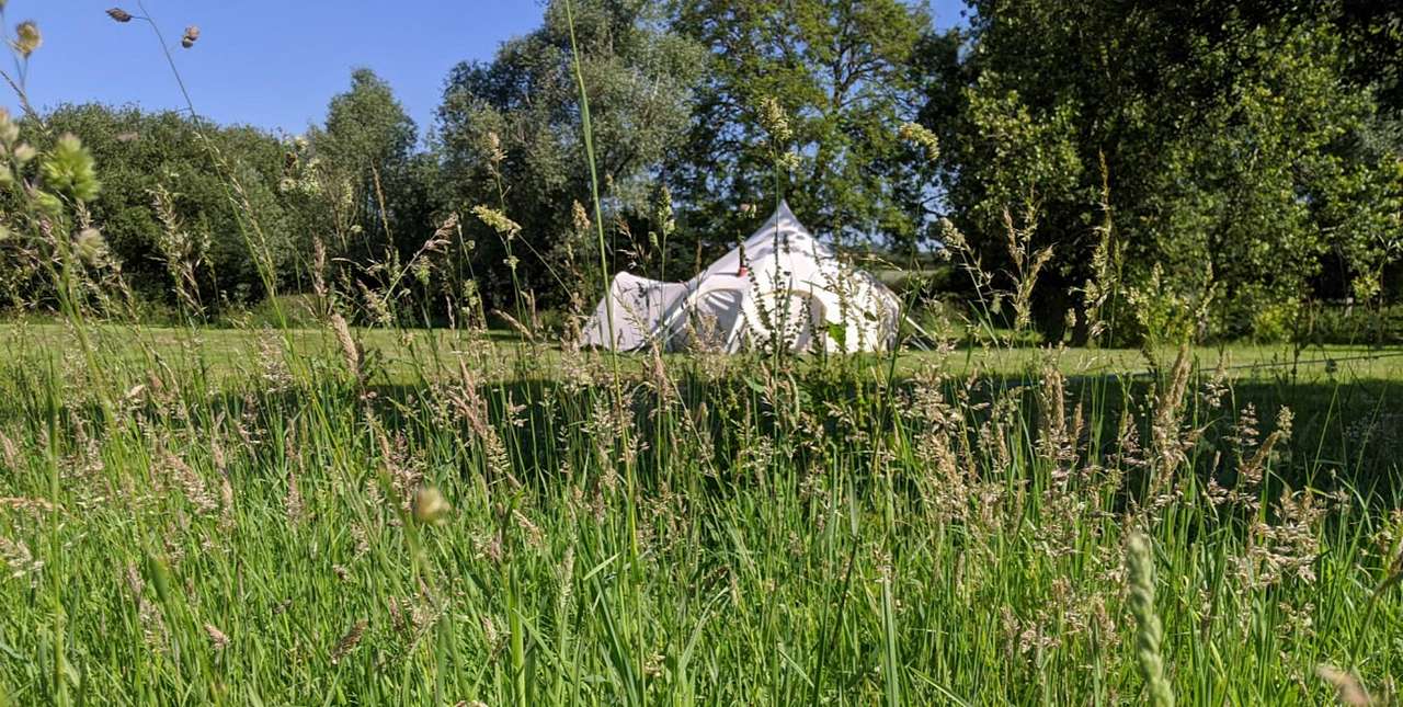May Fly Lotus Belle Tent