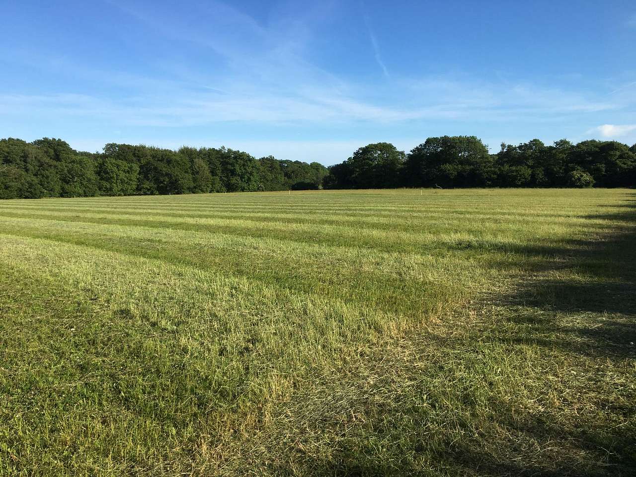 Grass Pitch