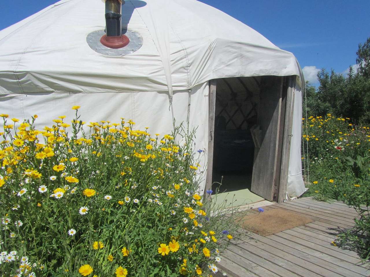 Yurt