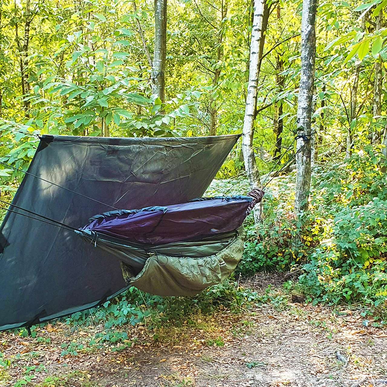 Faraway Hammock Pitch