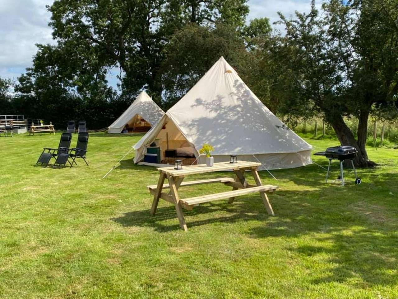 Marigold 6M Bell Tent