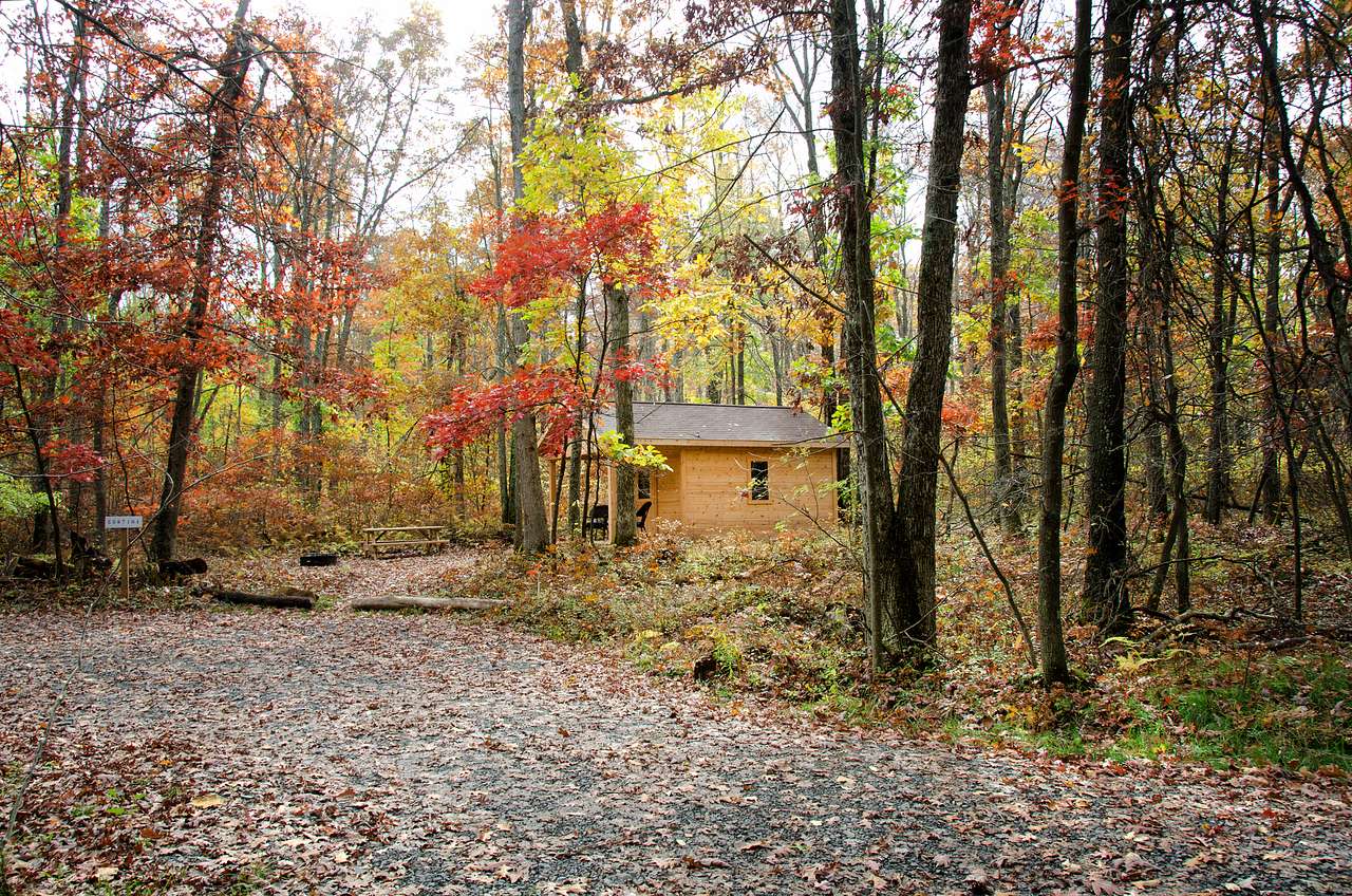 Cozy huts tucked into the woods, plenty of space between huts.