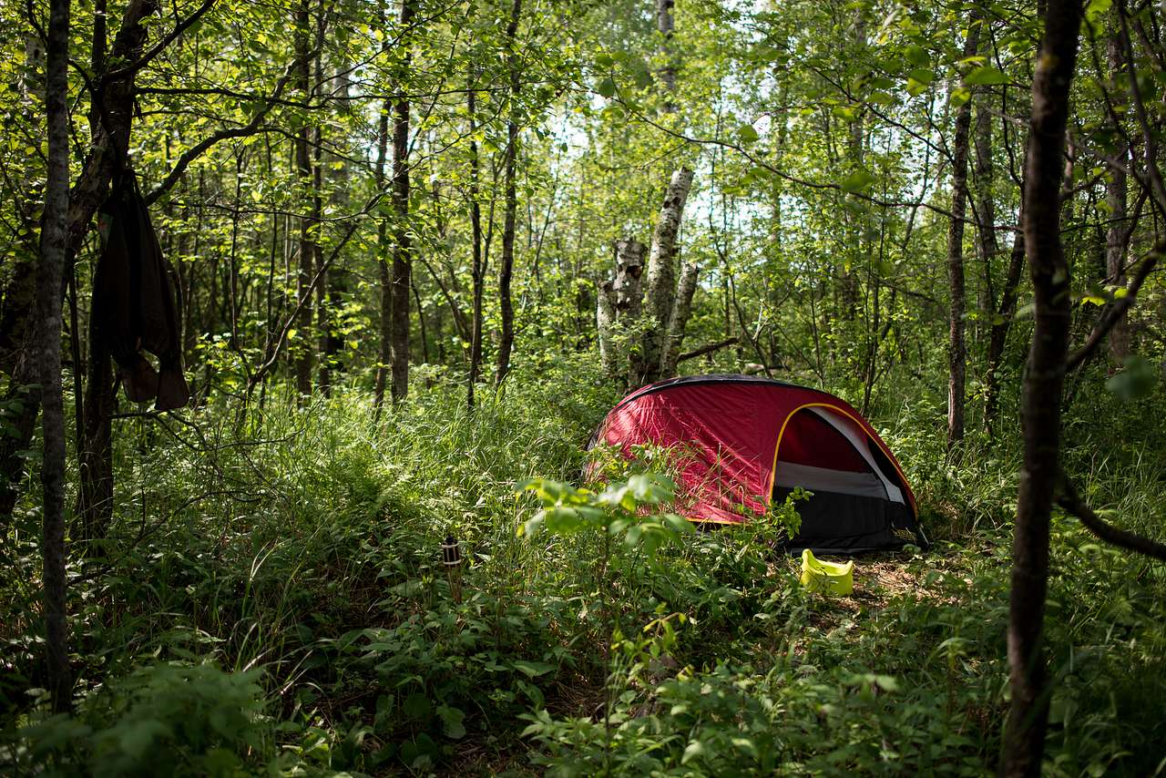 Camp Palustria