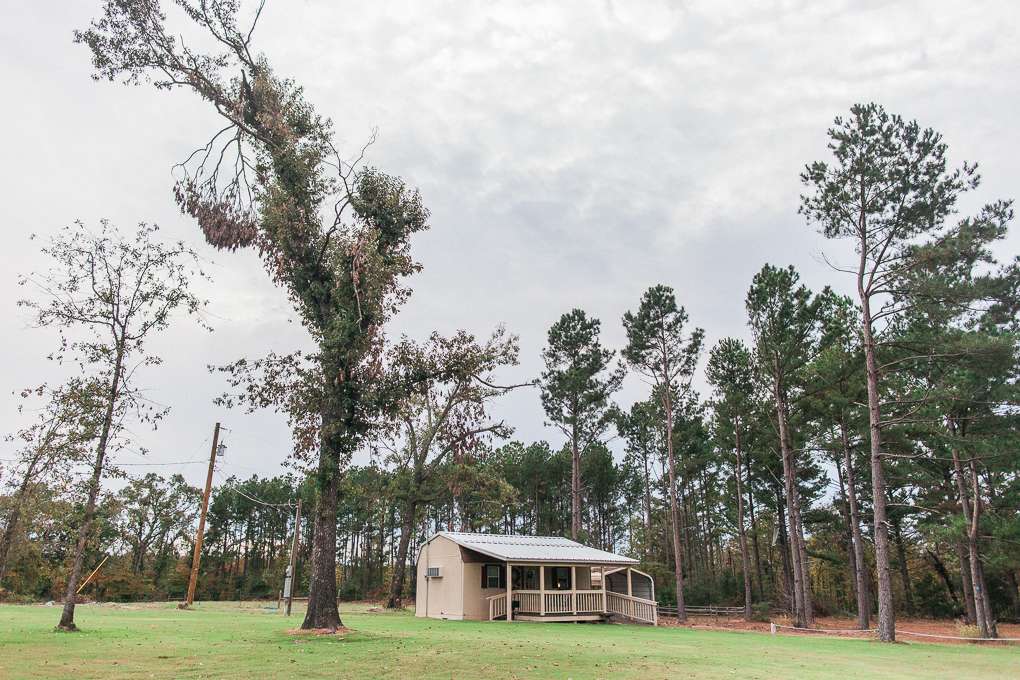 Nestled in a field of pines, Julia's cottage int the background.