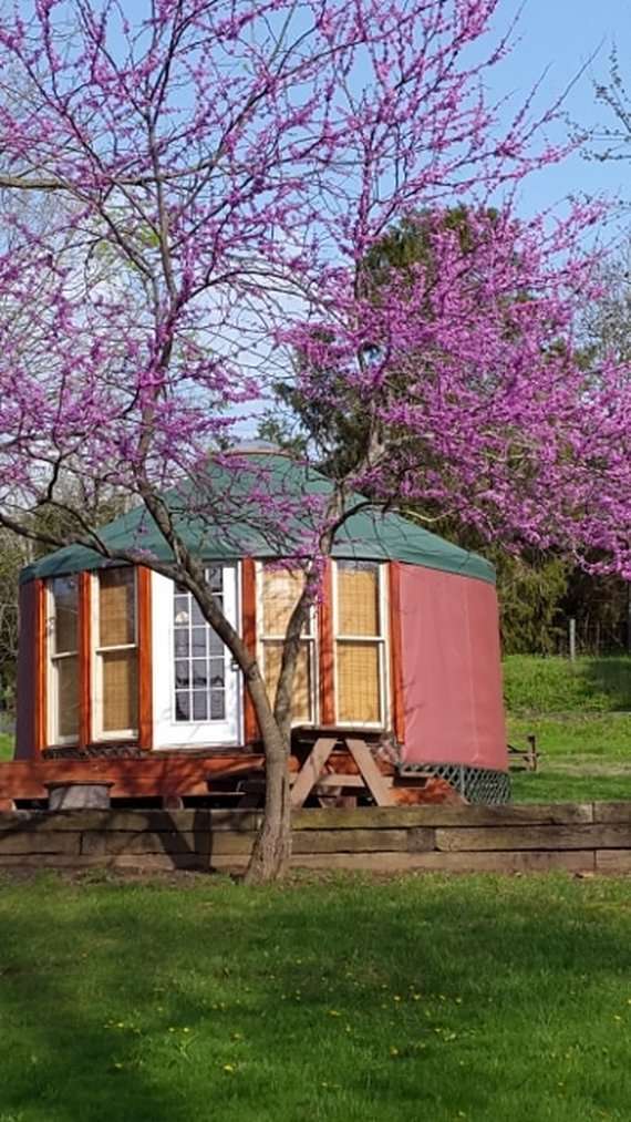 The beautiful Painted Horse Yurt! 