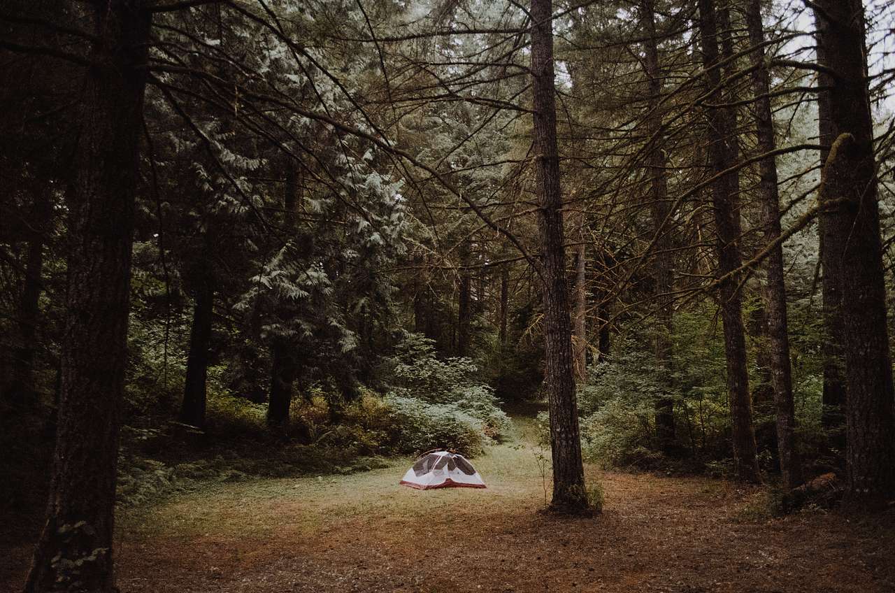 This is another spot that you can park your tent. 