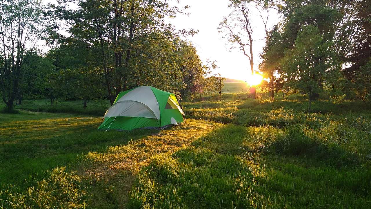 Photo of camp site