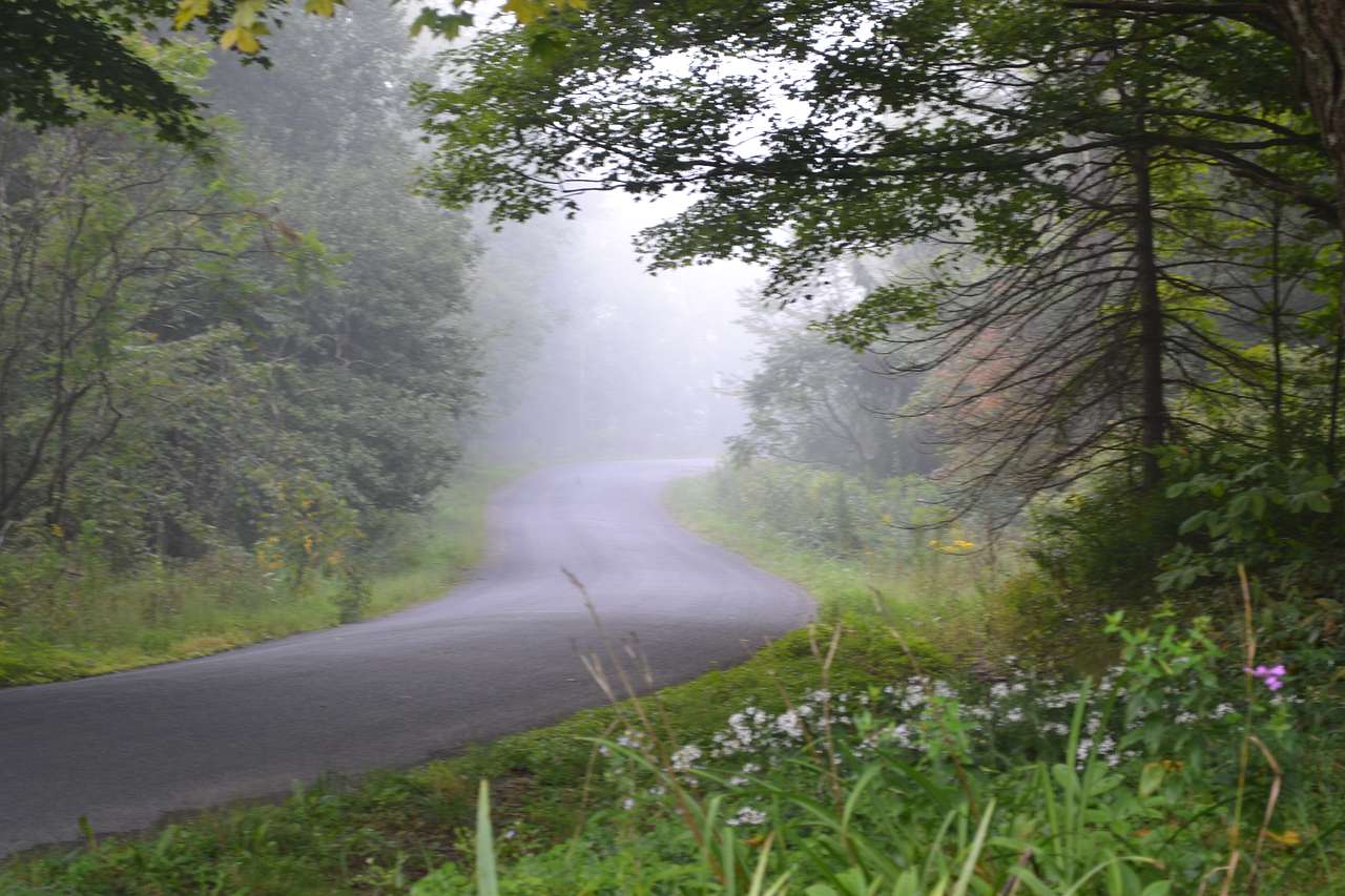 Country roads...