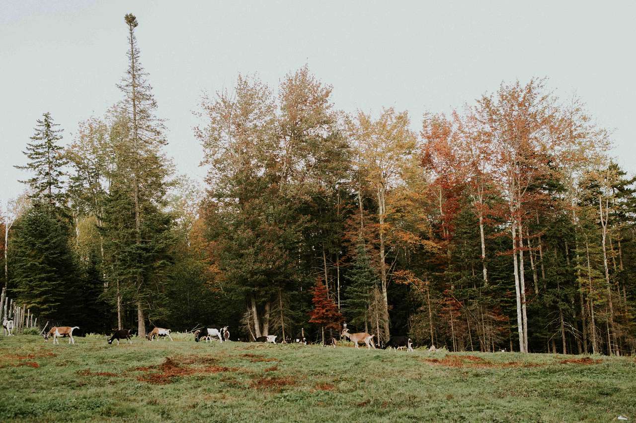 La Lu Farm camp site