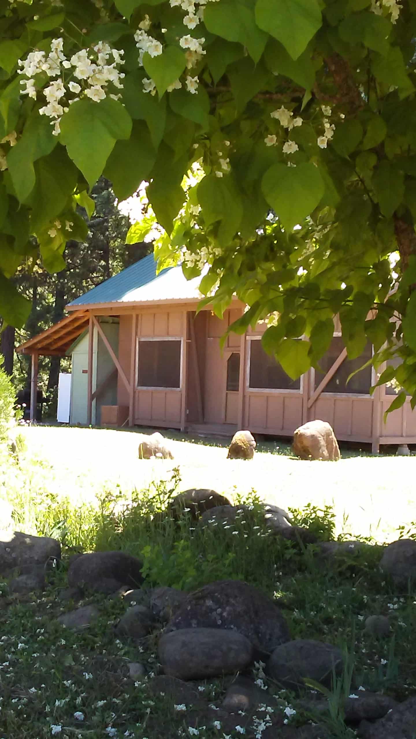 Ramada in the Trees.  Screen porch with 28' trailer inside.  Communal kitchen, bath, picnic area in the back.