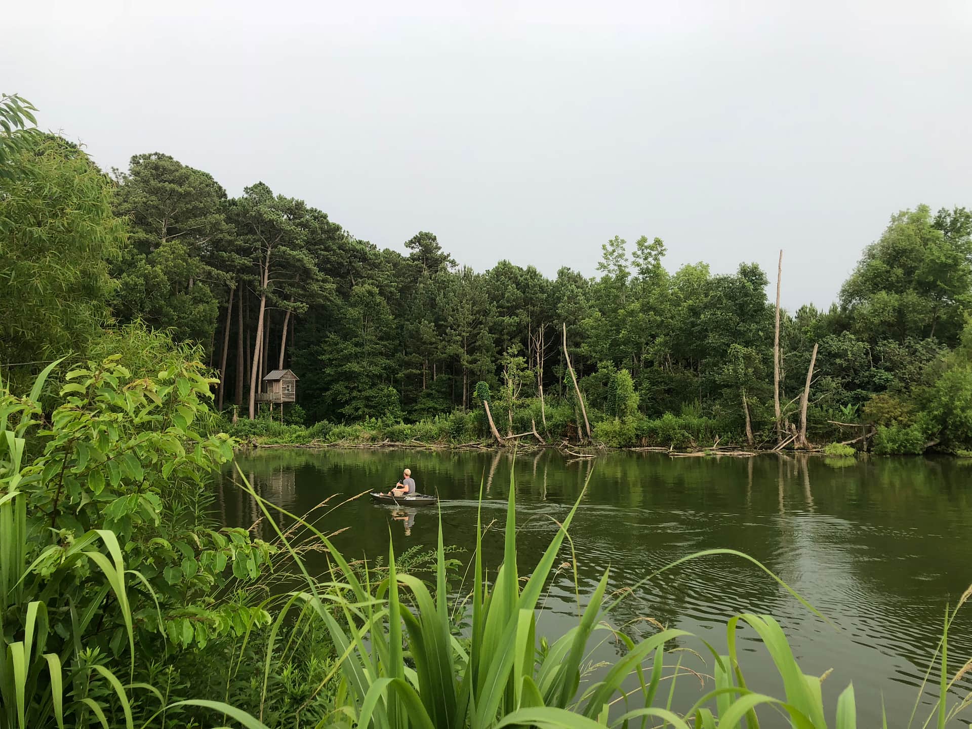 Rock Hill Campsite