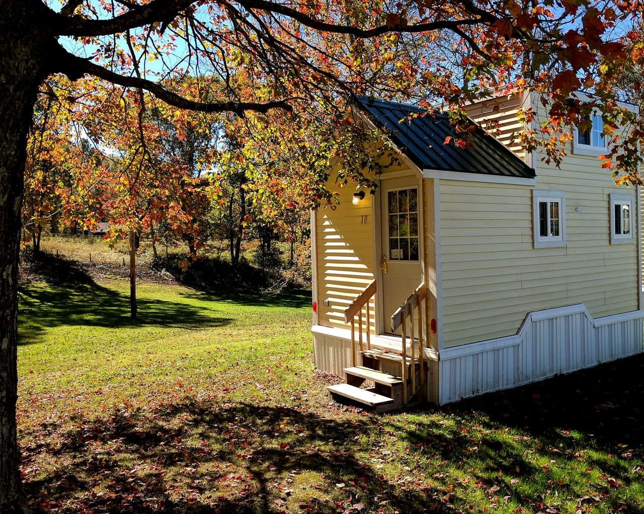 Welcome to Tiny Cabin #10.