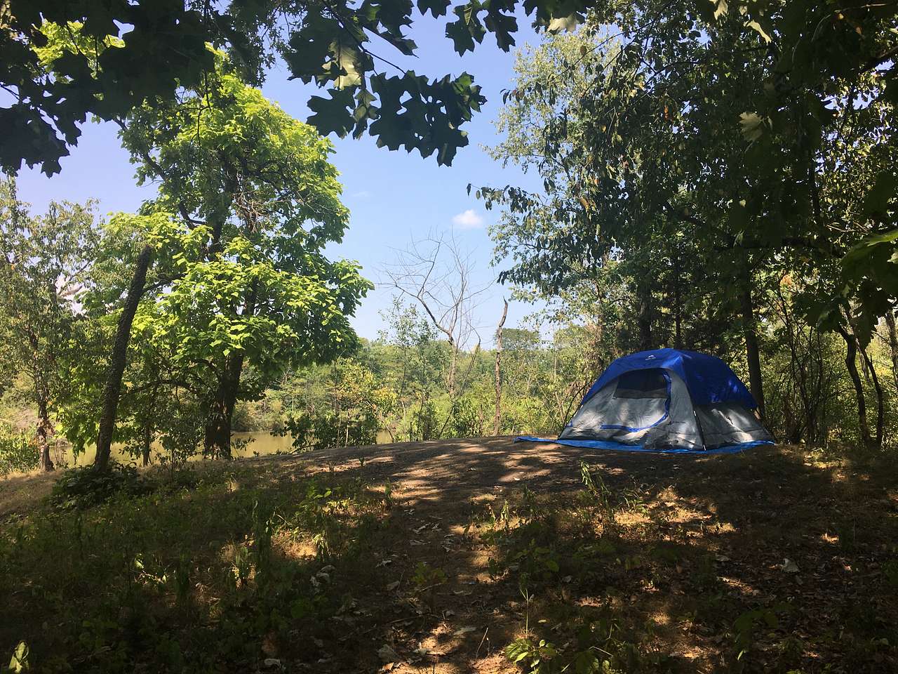 East Woods on the IL River