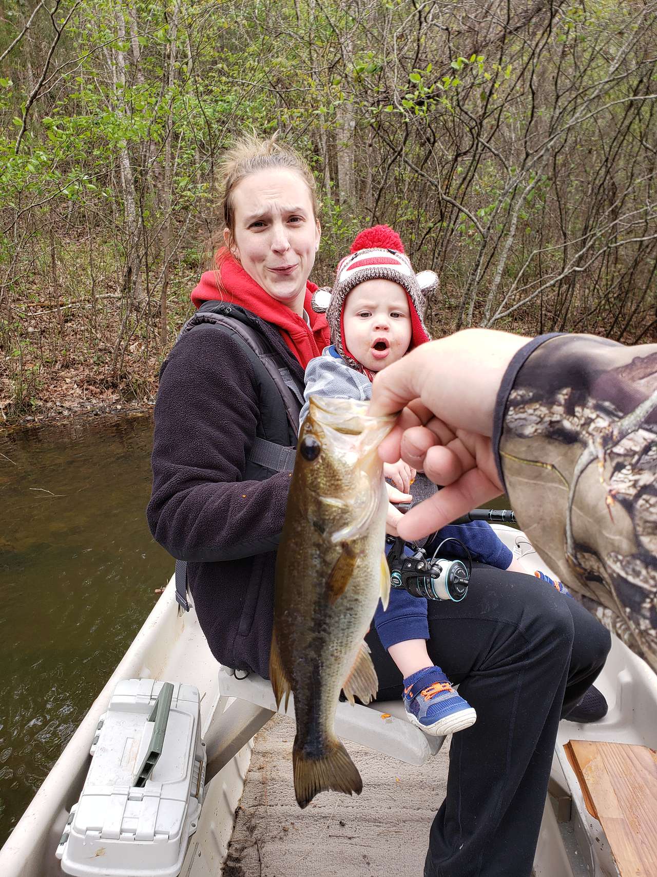 Murchison Farm's Primitive Camping
