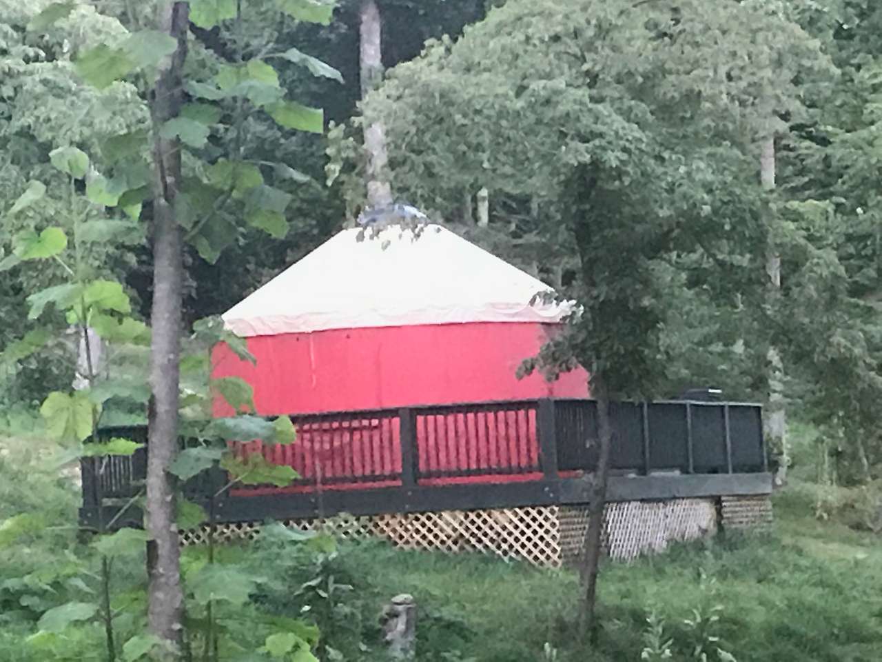 The back of the yurt in late spring.
