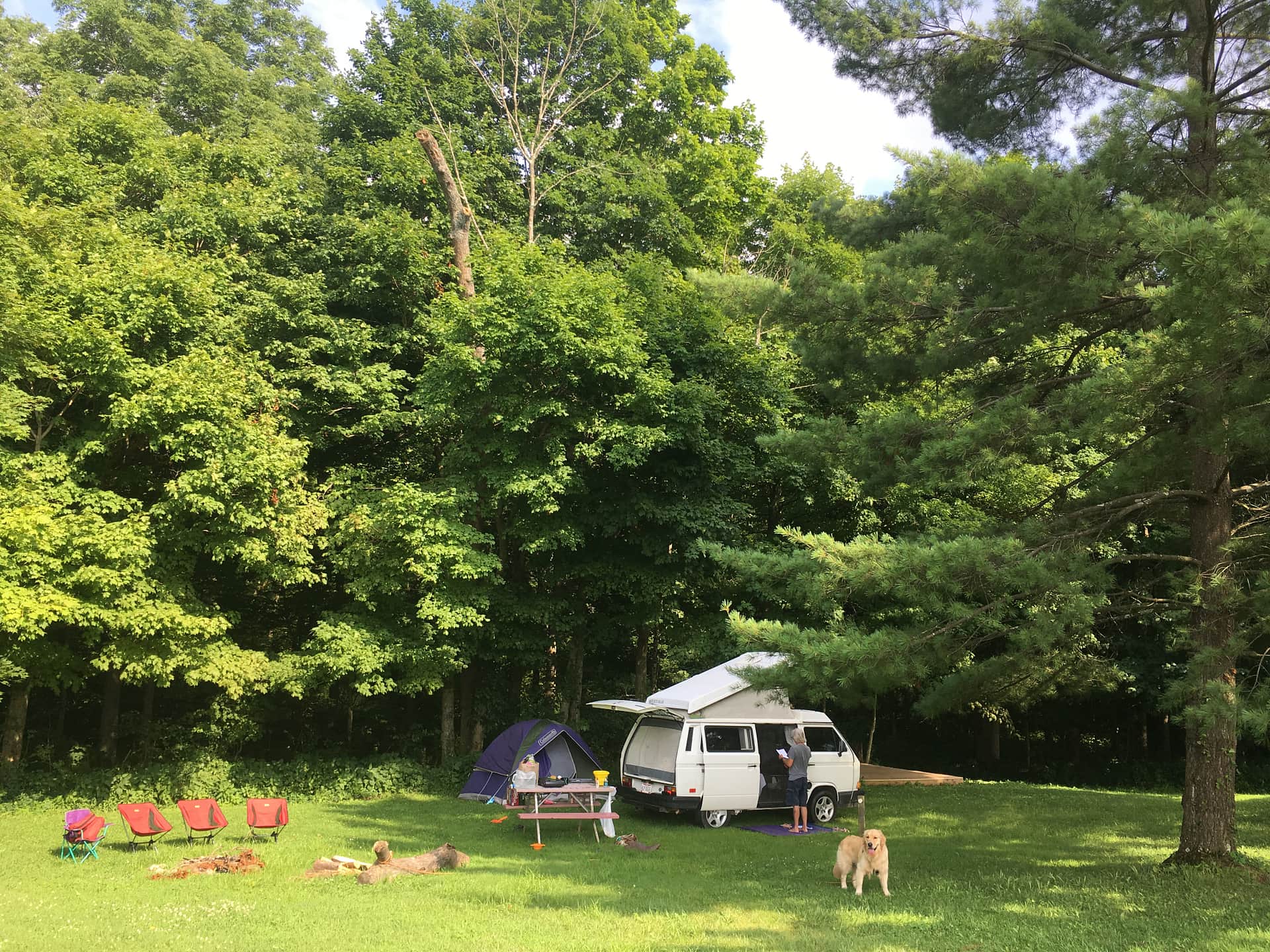 Site #29