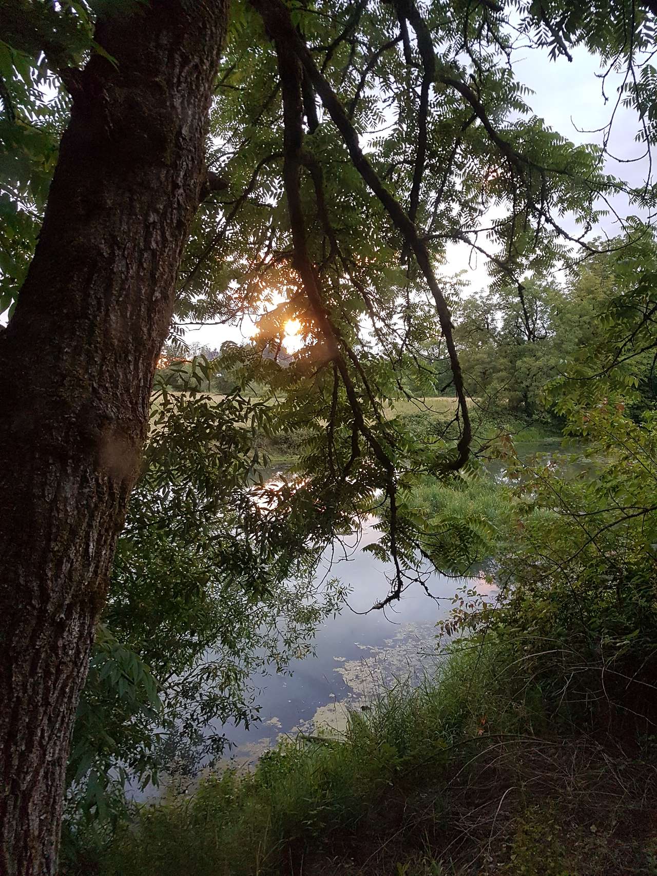 Beautiful sunsets every night!