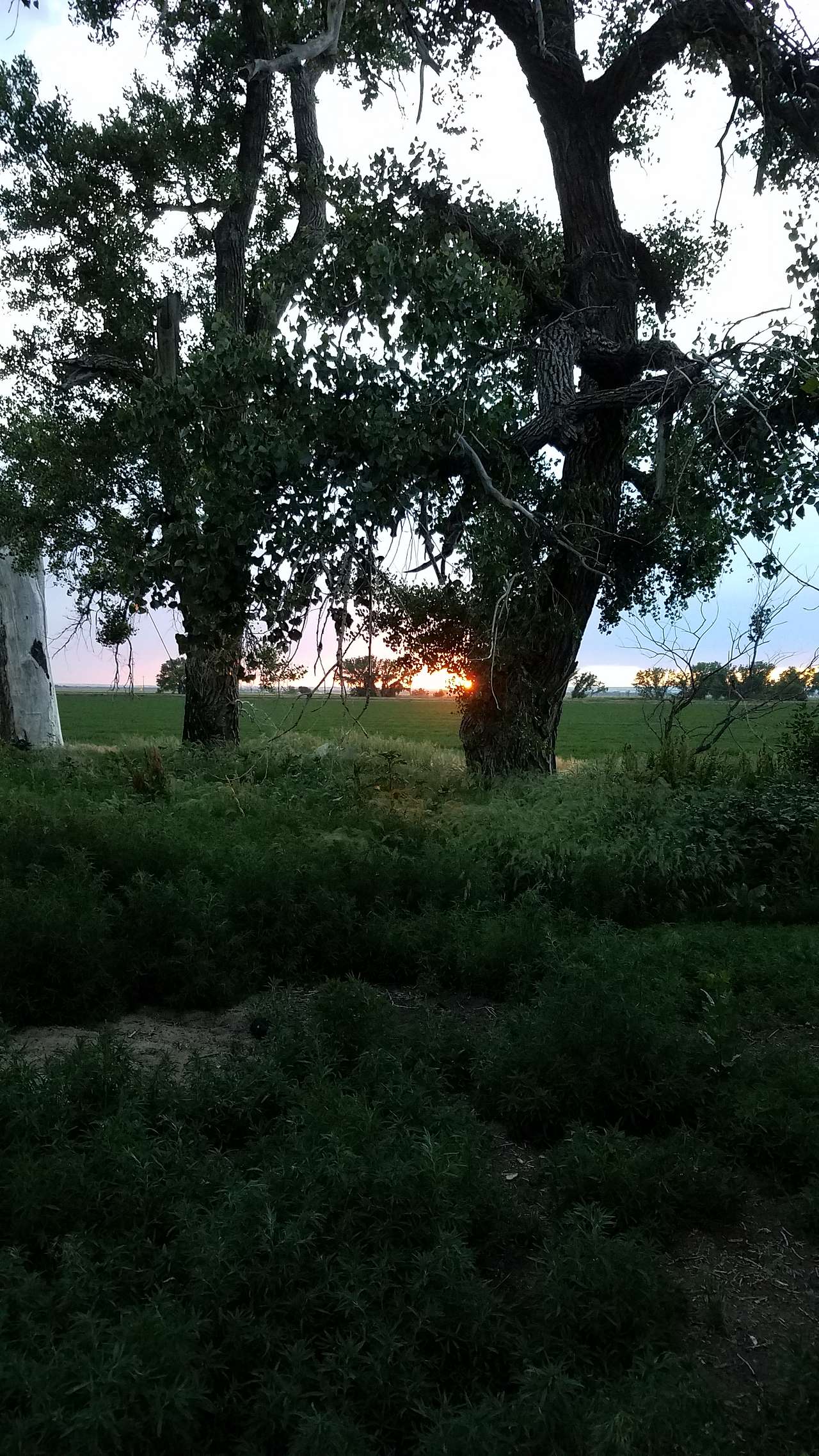 Sunset view.