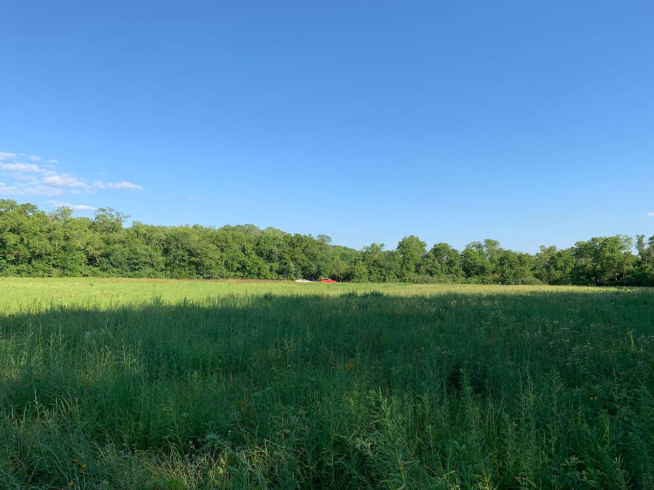 Timber Creek Farm