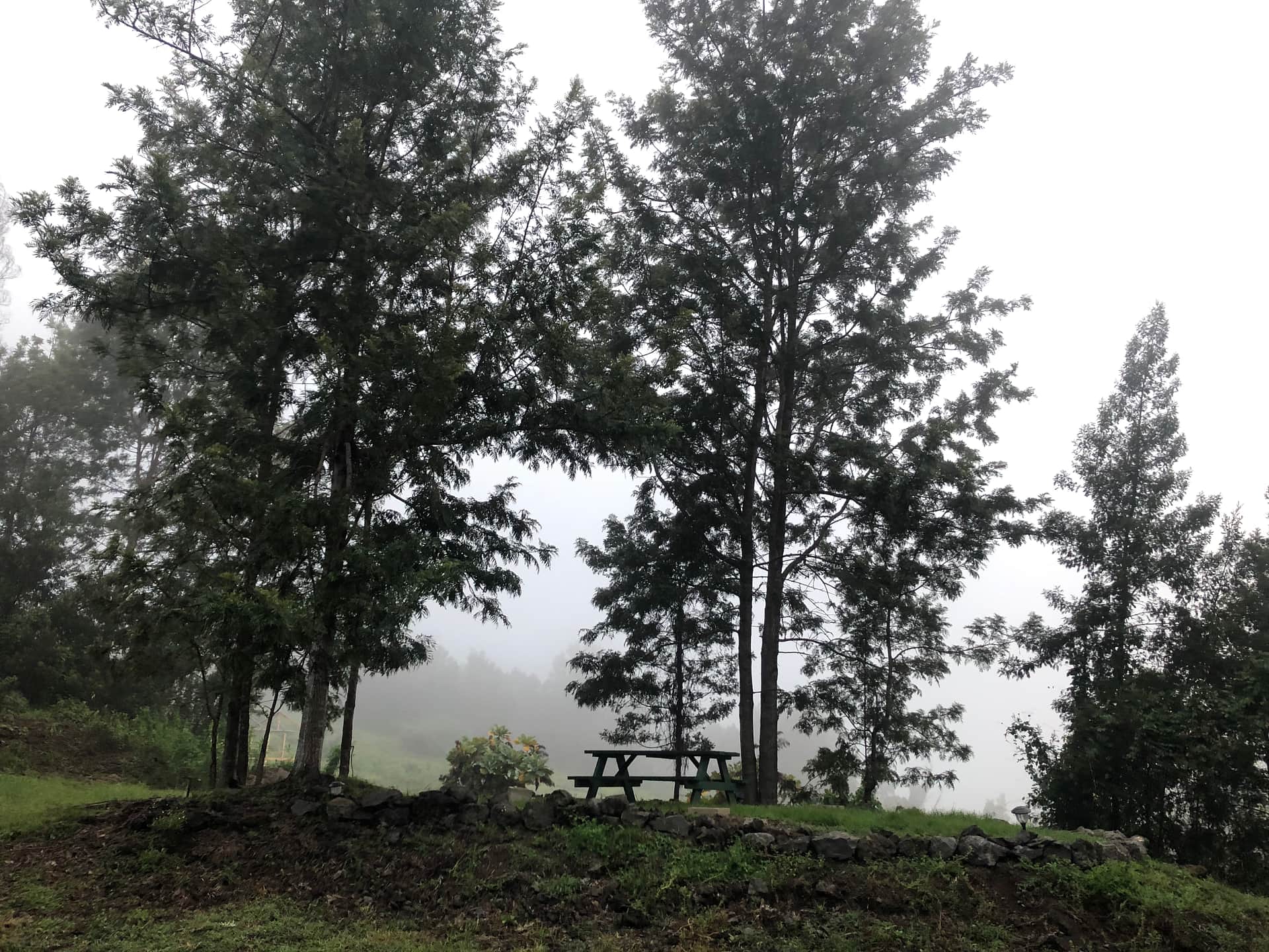 Wahi Nanea Place of Relaxation
