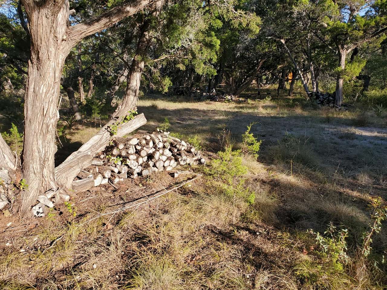 Flat parking areas near campsites.