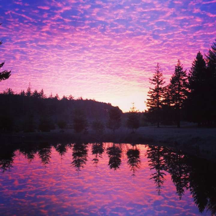 Cranberry Overlook