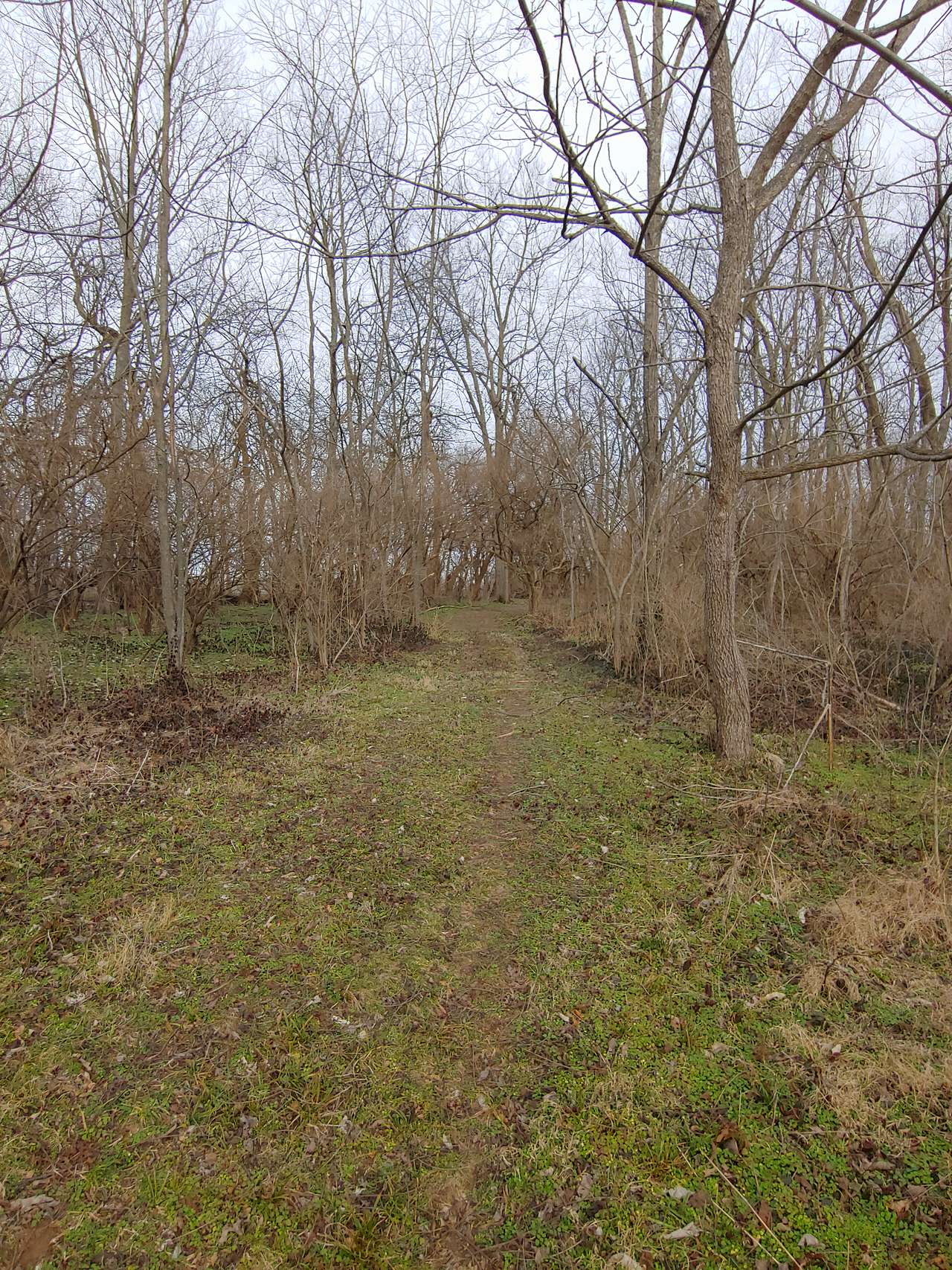 Hiking trail.