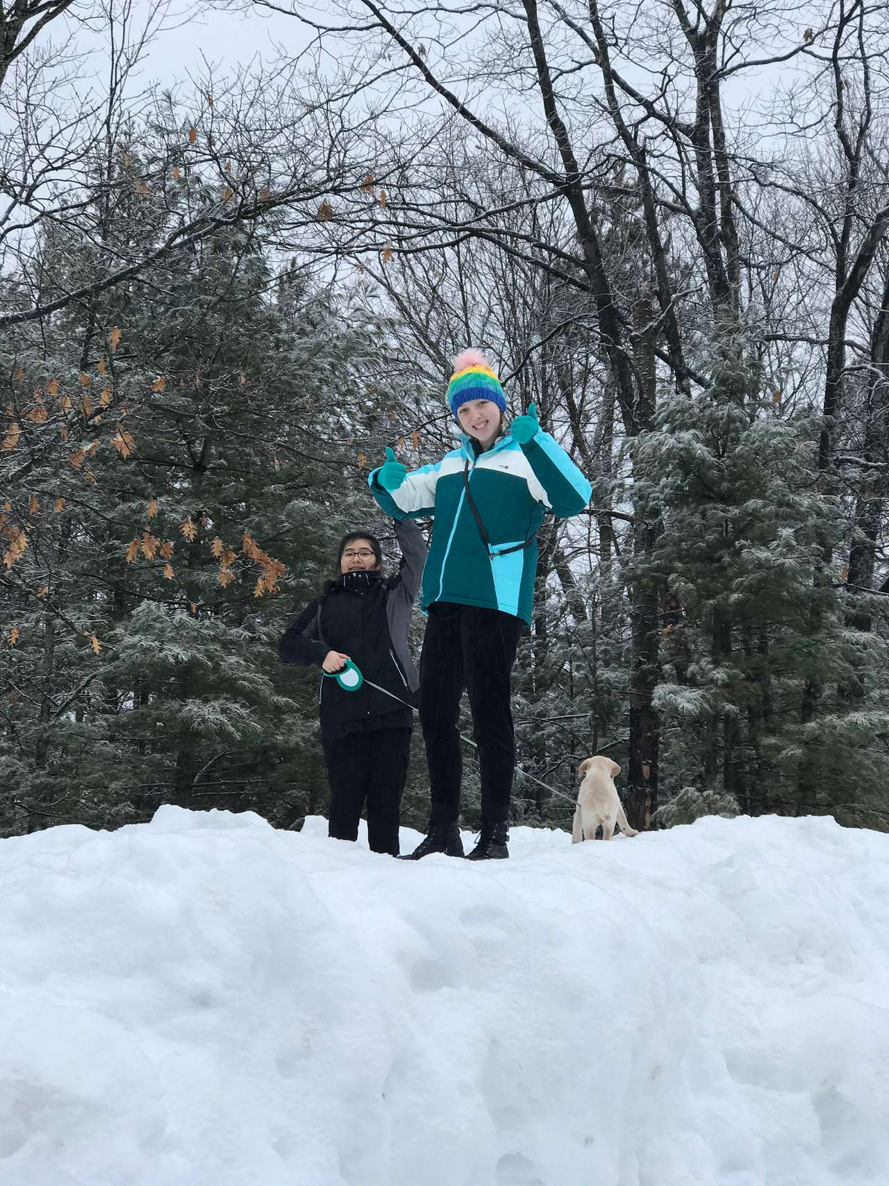 King of the mountain!