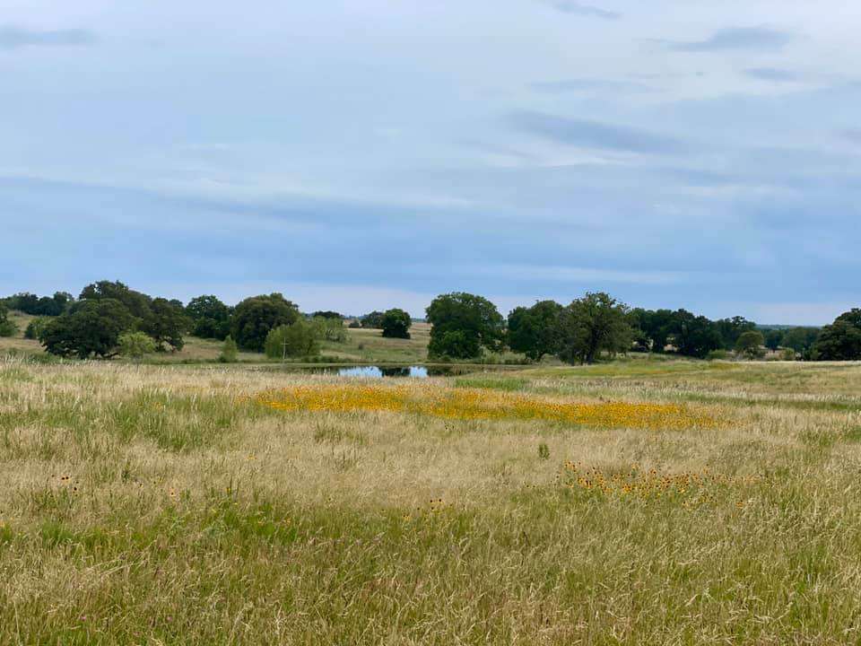 Coyote Creek Farm