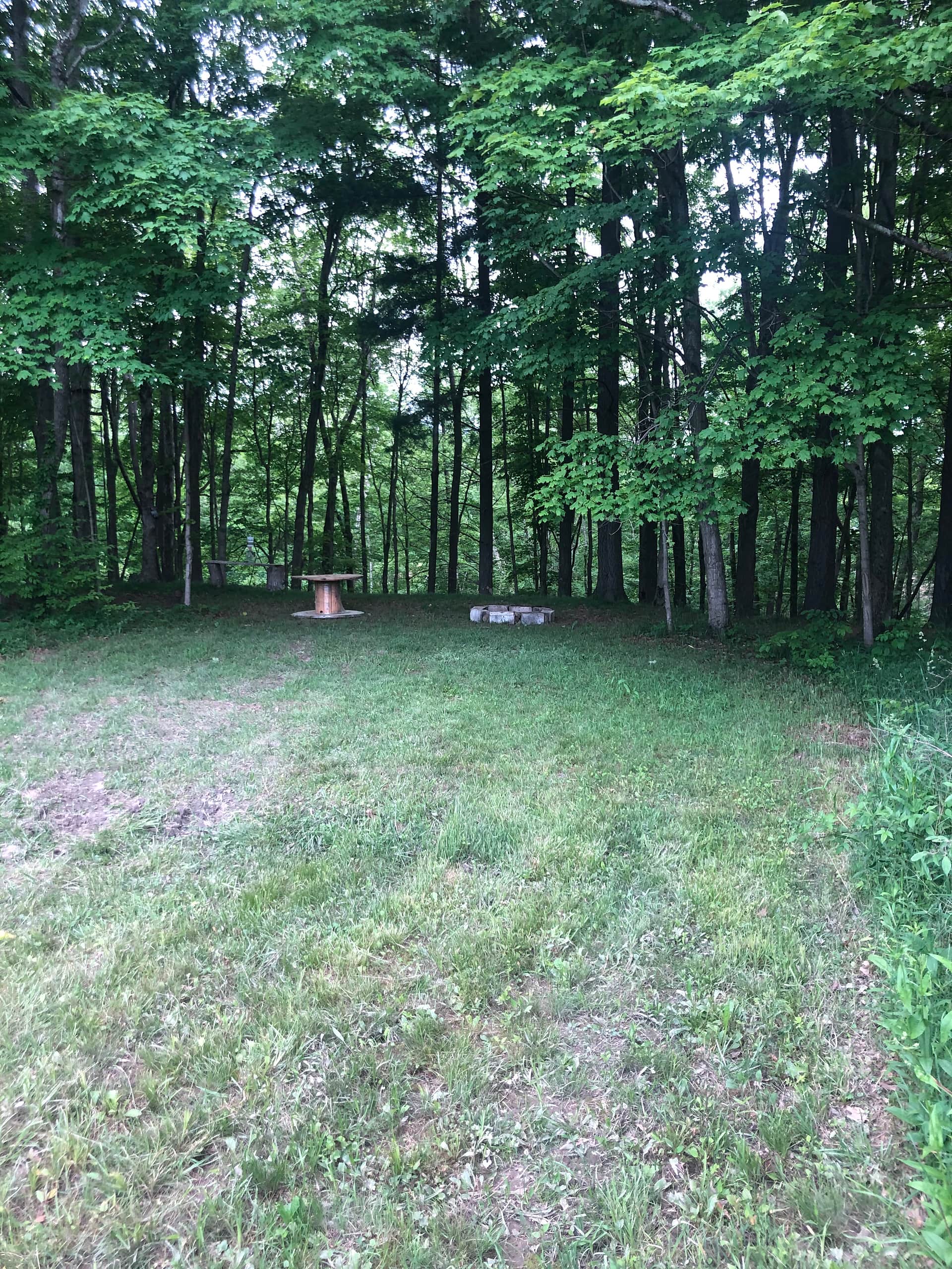 View of campsite with table and fire ring.