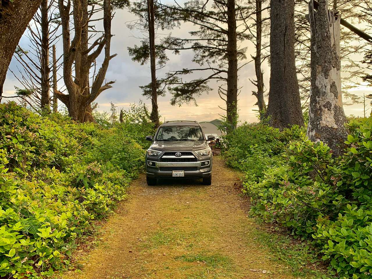 Aliya Preserve—WA Coast Eco-Retreat