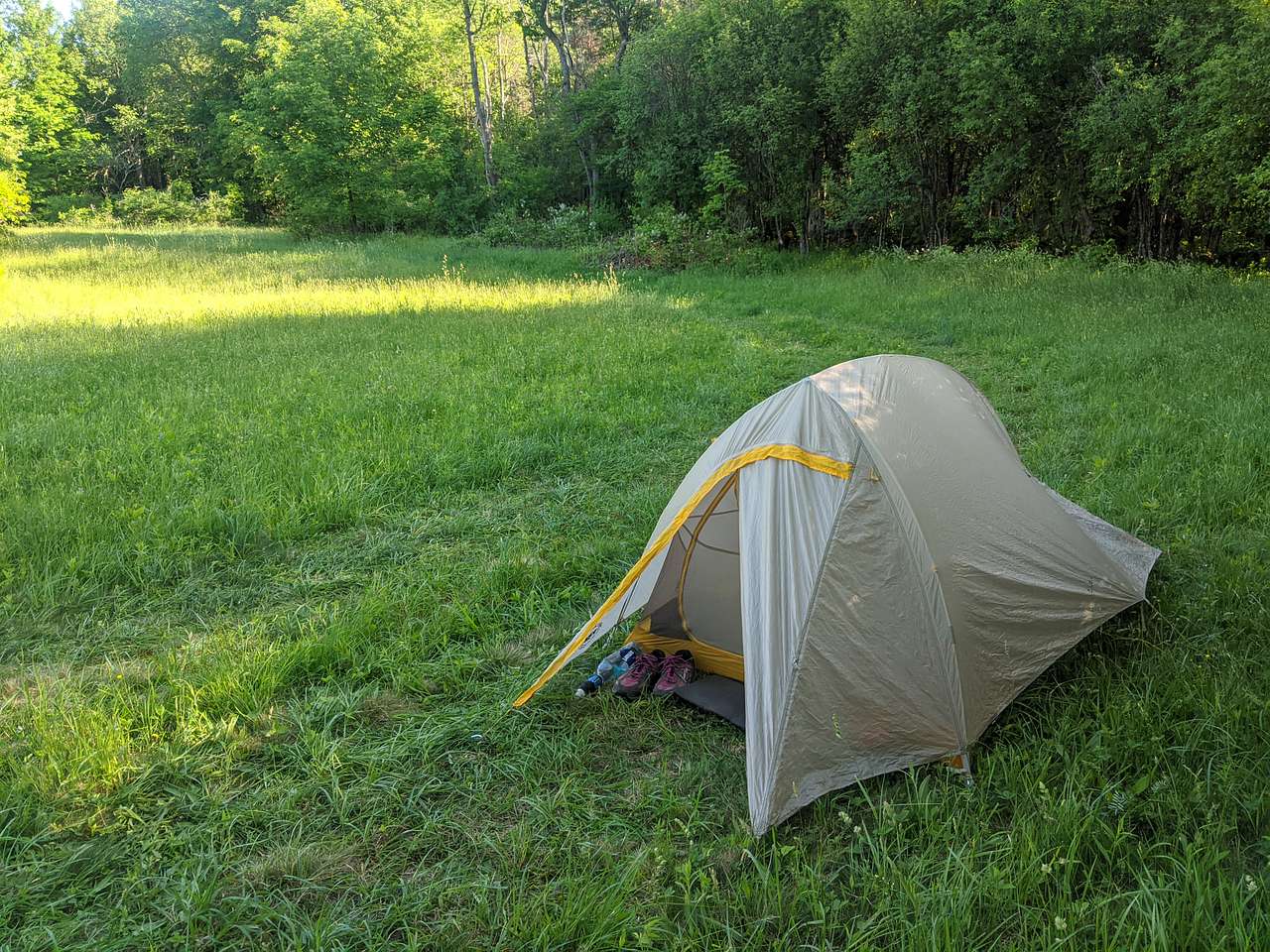Camping in the meadow.