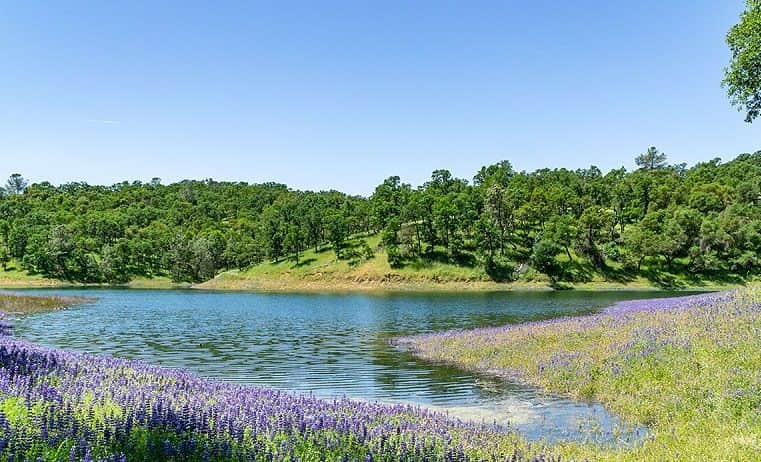 Scenery changes throughout the season - this was taken in May when the ranch is green and lush!