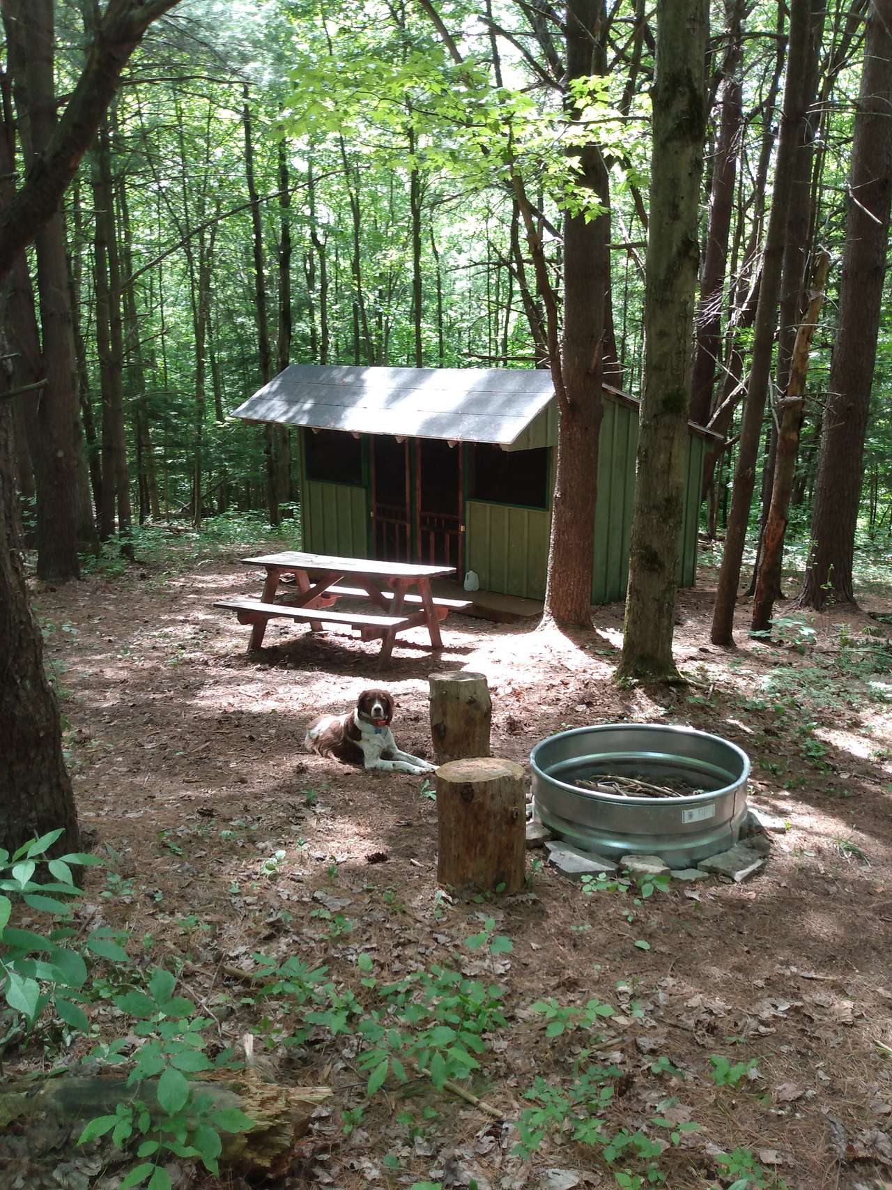 Picture of the site