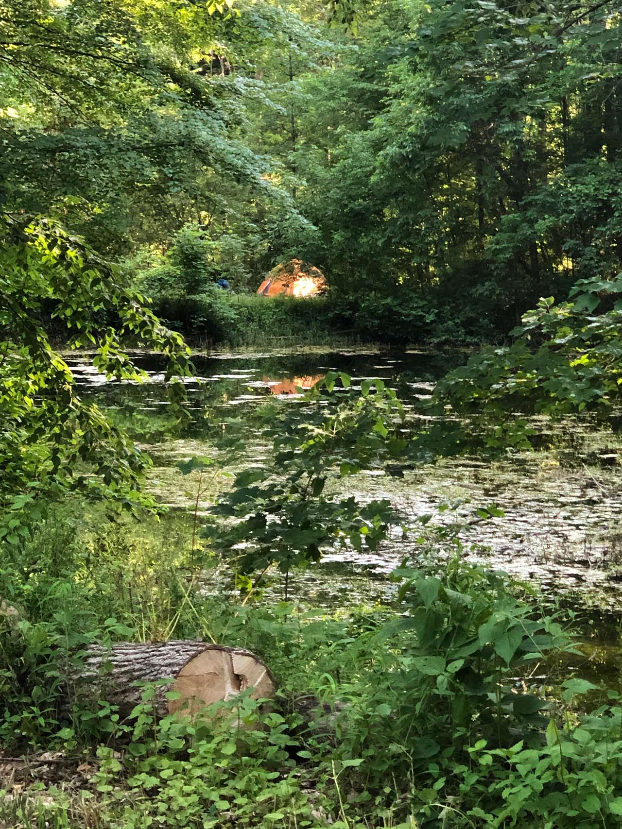 Moon In The Pond Farm