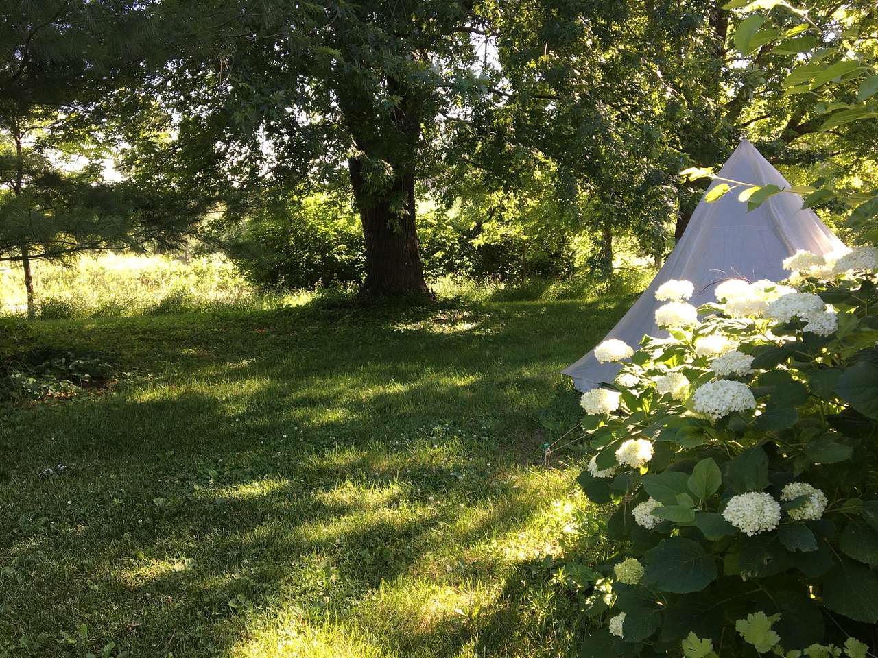 Campsite