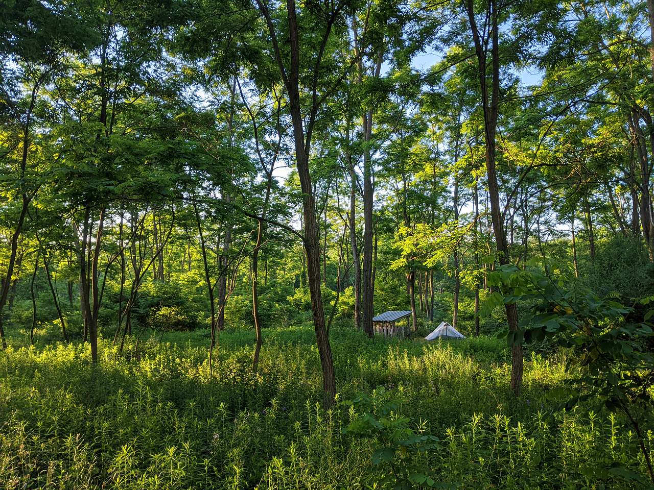 Hawk Meadow Farm
