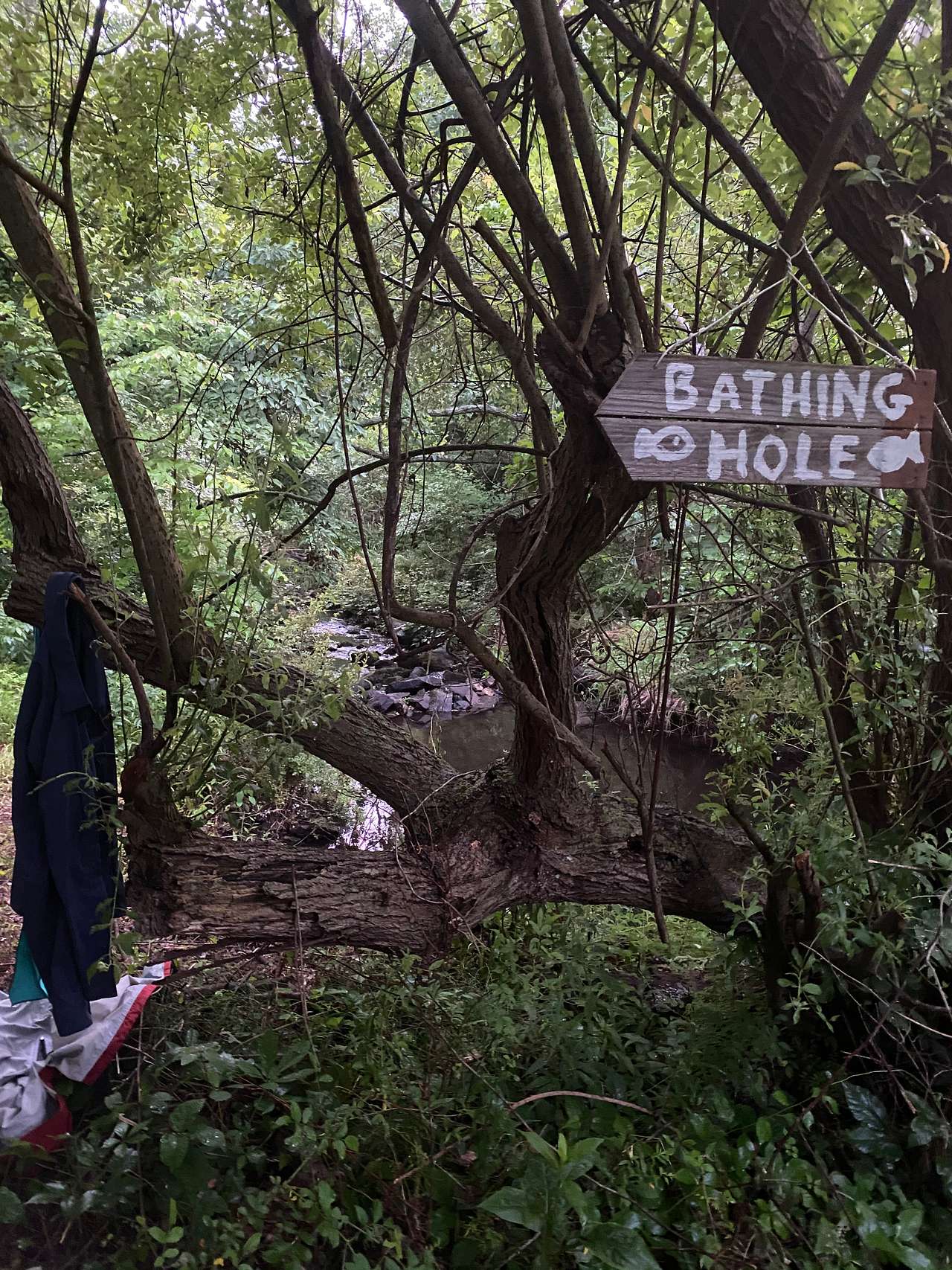 Bathing hole on property was perfect for cooling down on a hot day