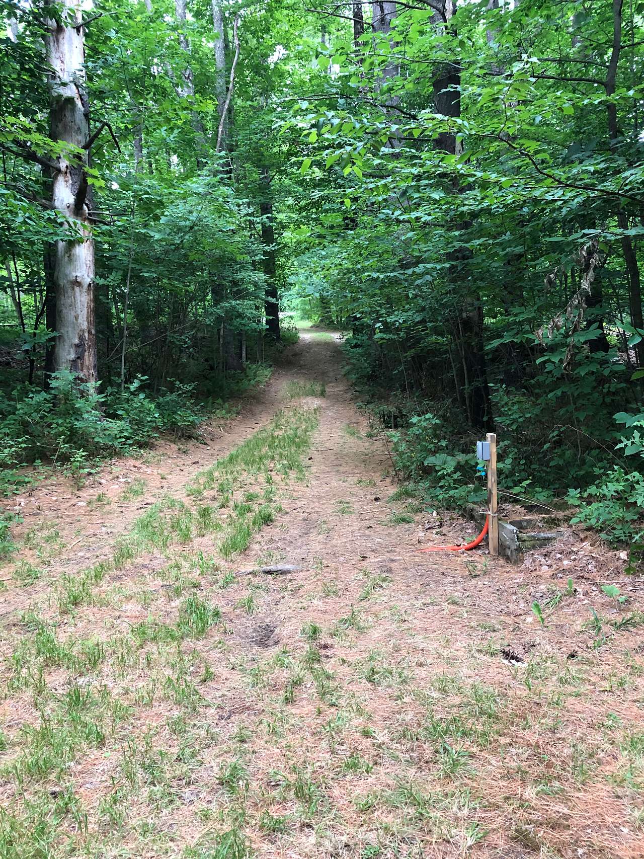 Looking up driveway from camp site