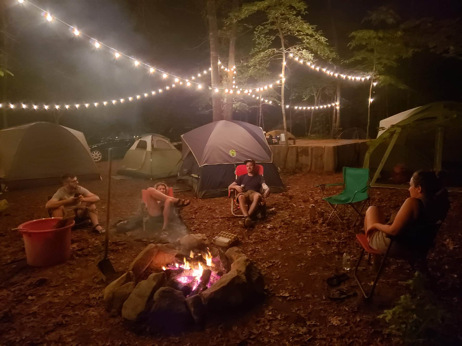 Shine & Rise Magic Food Forest