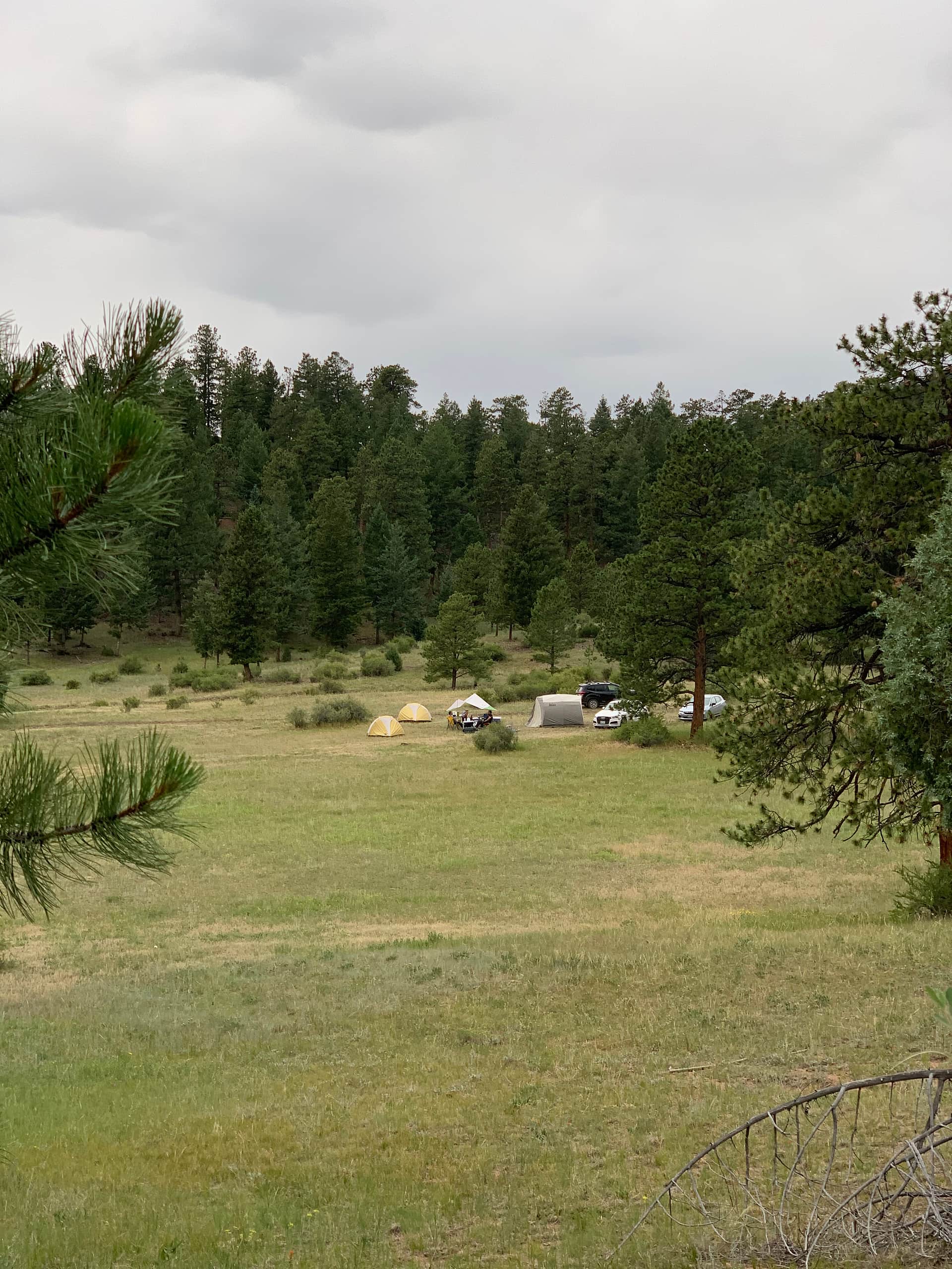 Serenity in the Foothills