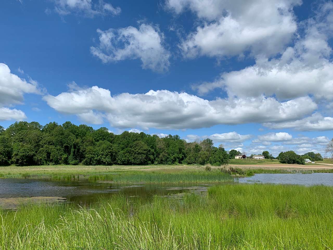 Pond View