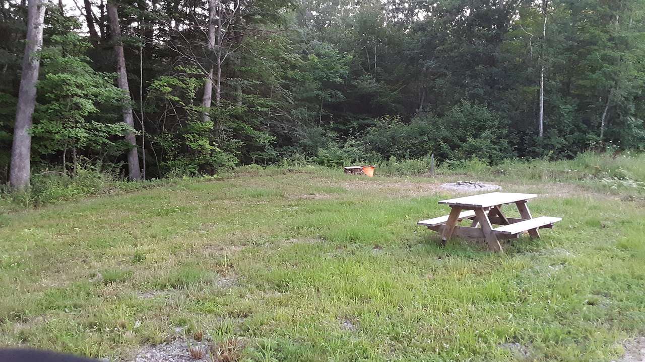Site 1, needs an updated picture.