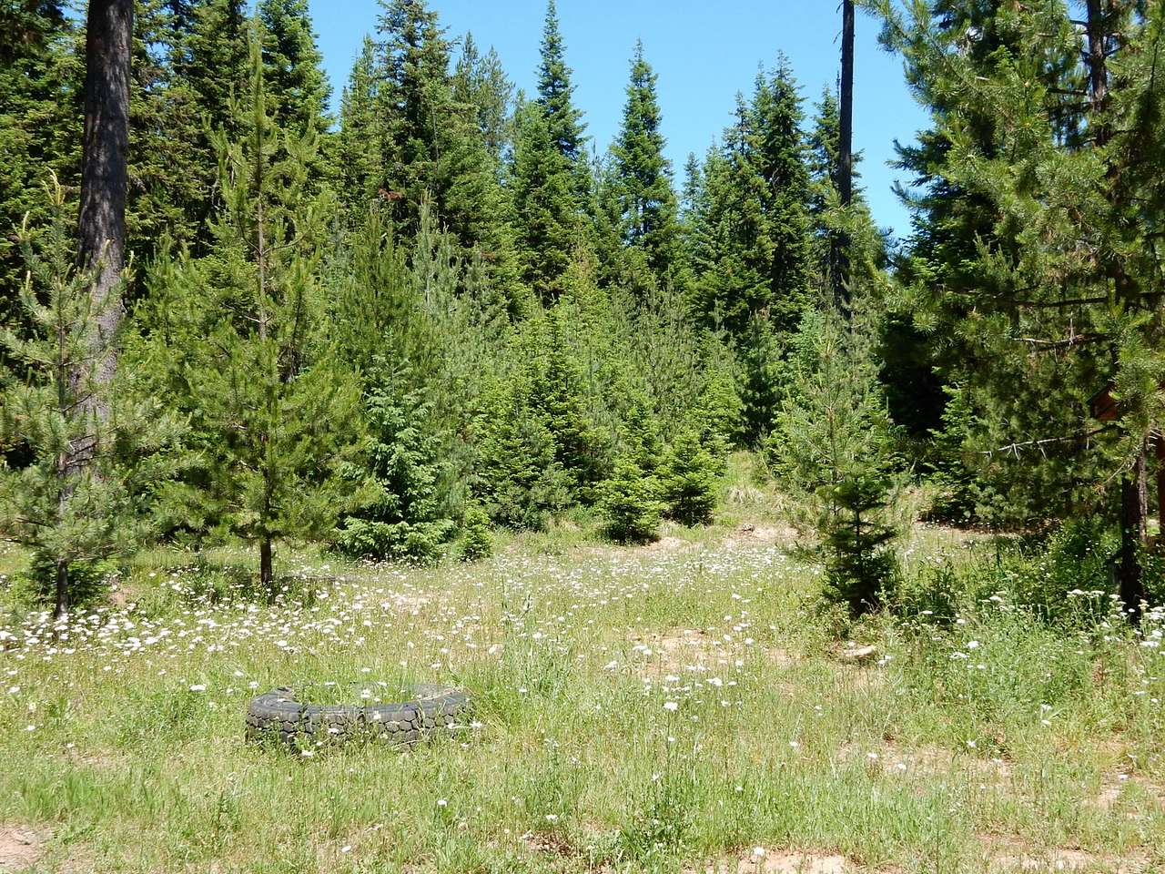 Surrounding area